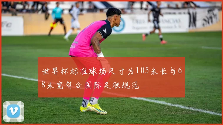 世界杯标准球场尺寸为105米长与68米宽符合国际足联规范