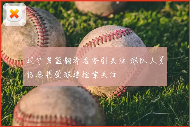 辽宁男篮翻译名字引关注 球队人员信息再受球迷检索关注