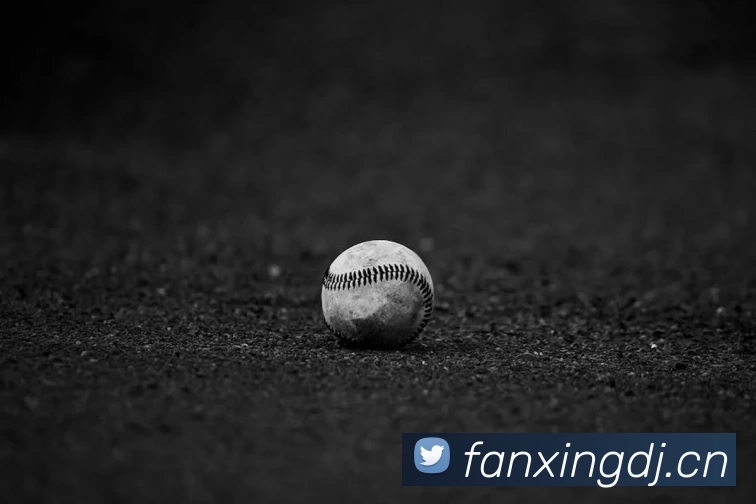 三亿体育(中国)官方网站发展历程